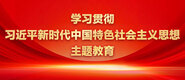 大鸡巴操美女视频学习贯彻习近平新时代中国特色社会主义思想主题教育_fororder_ad-371X160(2)